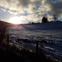 Profile Picture of Mandy Lloyd (@mandy-lloyd-46) on Quora