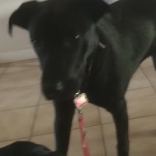 Jacob perrault - Instagram Profile Picture of Jacob perrault (@jacob.perrault) on Instagram