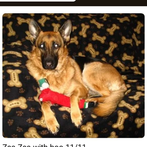 Profile Picture of Roxane Buss (@chiwitch) on Poshmark