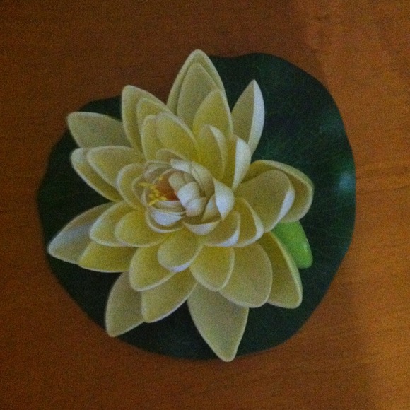 Profile Picture of Luz Ross (@leross62) on Poshmark