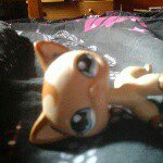 Profile Picture of Kayla x (@kayla_diamonds_lps) on Instagram