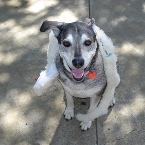 Profile Picture of Lori Weinberg-thomas (@hrs2luv) on Myspace