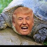 Profile Picture of Zachary Rhea (@zach.rhea) on Instagram