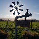 Profile Picture of Anna Ben Gillespie (@twofarmersfarming) on Instagram