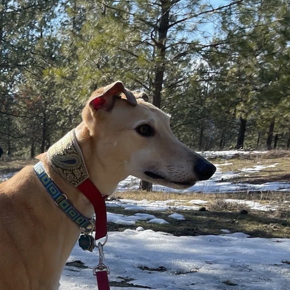 Profile Picture of Julia Riegel (@julemr) on Poshmark