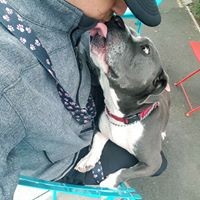 Profile Picture of Jeremy Deguc (@jeremy-deguc) on Quora