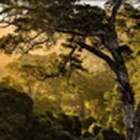 Profile Picture of Connor Elizabeth Stubblefield (@connor-elizabeth-stubblefield) on Quora