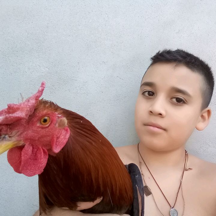 pacha R7 - Tiktok Profile Picture of pacha R7 (@lazaroalfaro2) on Tiktok