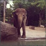 Profile Picture of Erika Mischke (@paulapekarsvk) on Instagram