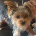 Profile Picture of Keith Harper (@keith.harper.12) on Facebook