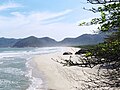 Profile Picture of Grumarion Wikipedia