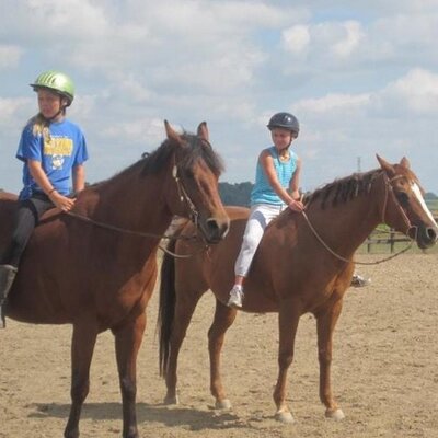 Profile Picture of Michele Brower (@MicheleBrower4) on Twitter