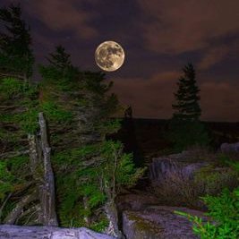 Profile Picture of Joe Cardwell (@jc25504) on Twitter