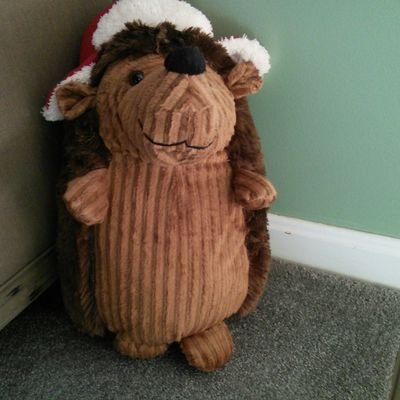 Profile Picture of George (@concord_quentin) on Twitter