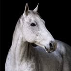 Profile Picture of Marie Jeffries (@marie.stevens.9216778) on Facebook