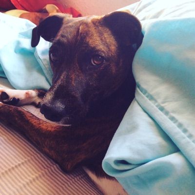 Profile Picture of aarondover1234 (@aarondover1234) on Tiktok