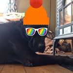 Profile Picture of Jonathan (@jjbigbossbenson) on Instagram