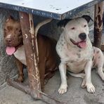 Mauro Hernandez - Facebook Profile Picture of Mauro Hernandez (@Mauro-Hernandez) on Facebook