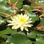 Profile Picture of Shari Read (@shari.read) on Instagram