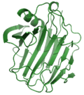 Profile Picture of Cellulase - Wikipediaon Wikipedia