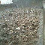 Profile Picture of ericreynolds28 (@ericreynolds28) on Instagram