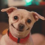 Profile Picture of Adriana Sveska (@adrianasveska) on Instagram