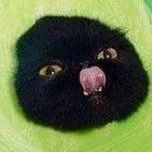 Profile Picture of Devin Salter (@Devin__Salt) on Twitter