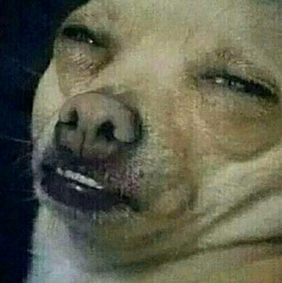 Profile Picture of Shawna Roderick (@rshawna) on Poshmark