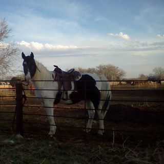 Profile Picture of Aletha Sue Grenier Kissell (@aletha.kissell) on Facebook