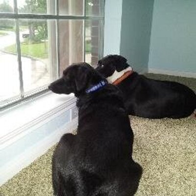 Profile Picture of Bob_Hose (@Bob_Hose) on Twitter