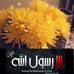 Profile Picture of Bashair Awad (@bashair.awad.1) on Facebook