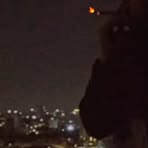 Marianne Kelly - Facebook Profile Picture of Marianne Kelly (@marianne.kelly.564175) on Facebook