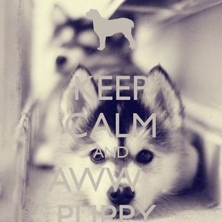 Profile Picture of Abby Fulton (@abby.fulton.961) on Facebook