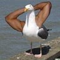 Profile Picture of Corey Dufrene (@corey-dufrene-1) on Quora