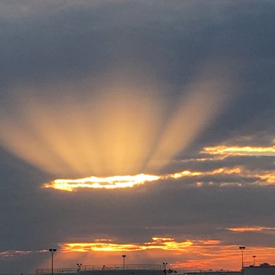 Profile Picture of Sharon Moses (@sharonm56188864) on Twitter