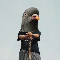 Profile Picture of Aaron Nevil (@aaron-nevil) on Quora