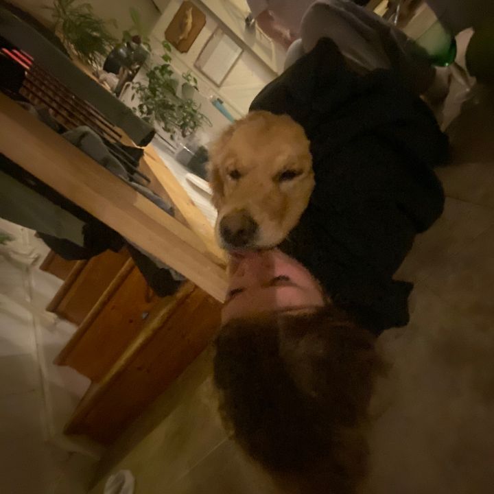 Profile Picture of marilynpoop (@marilynpoop) on Tiktok