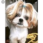 Profile Picture of Ava (@djblount21) on Instagram