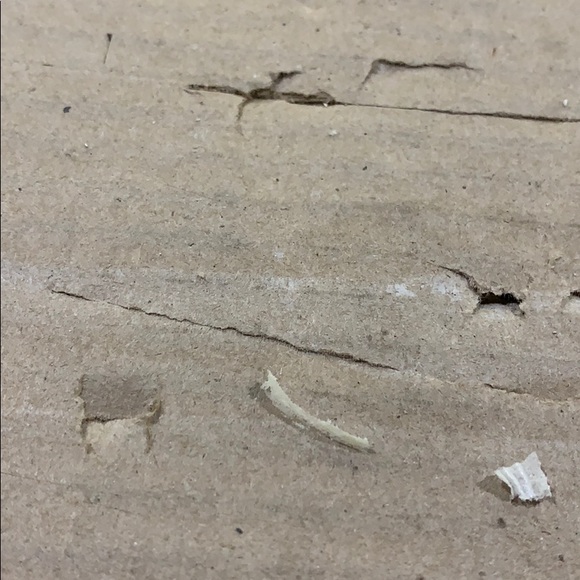 Profile Picture of Matt Smeal (@mattsmeal) on Poshmark