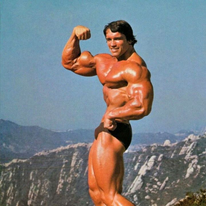 Profile Picture of Arnold (@arnoldshwarzeneger3) on Tiktok