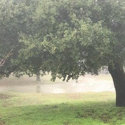 Profile Picture of Brian Fay (@BrianFay) on Twitter