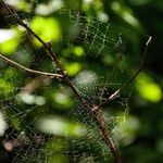 Taylor Bechel - Instagram Profile Picture of Taylor Bechel (@sunflowerphotography480) on Instagram