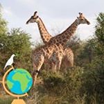 Profile Picture of Ginette Poirier (@ginette_poirier) on Instagram