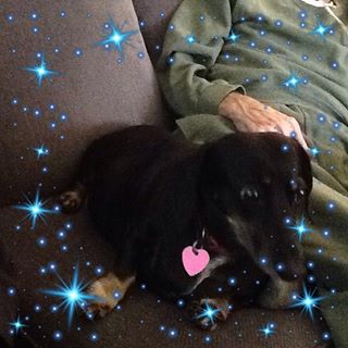 Profile Picture of Bobbie Sharp (@bobbie.sharp.1042) on Facebook