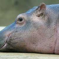 Profile Picture of Jenna Michalski (@jenna-michalski-2) on Quora