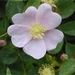 Profile Picture of Dorothy Frazier (@djfrazier67) on Pinterest
