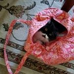 Profile Picture of Tami Adair (@tamiadair) on Instagram