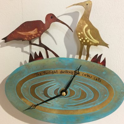 Profile Picture of Nathan Pickering (@NSpurnbirder) on Twitter