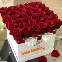 Profile Picture of Mahmood Tahir (@mahmood-tahir-6) on Quora