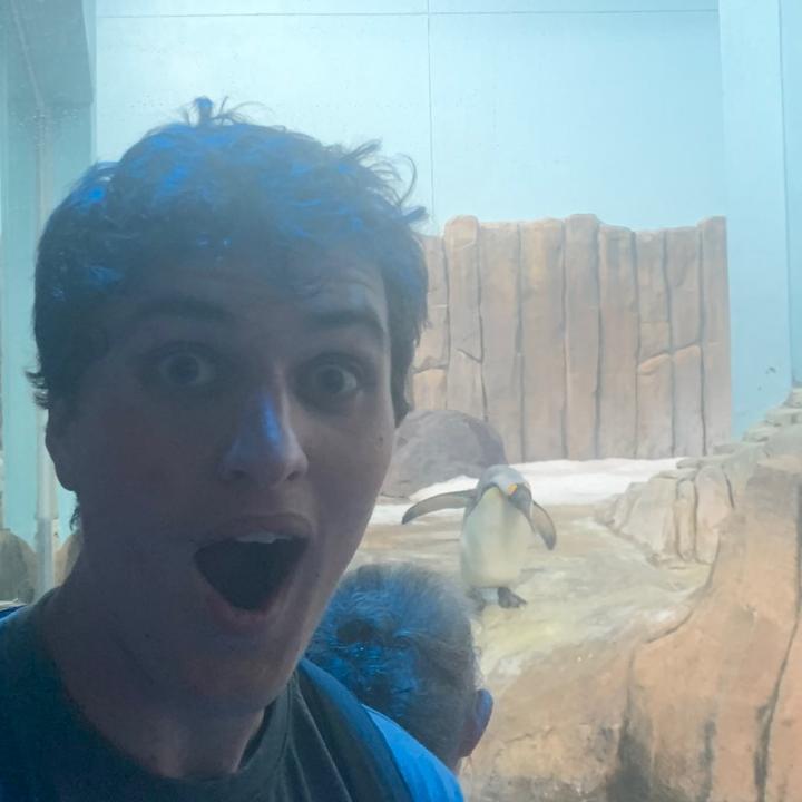 Profile Picture of Baseball cards (@james.jurach) on Tiktok